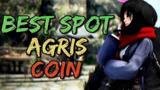 The BEST Grind Spots for AGRIS COIN  ALL 69 Areas RANKED || Black Desert Online.