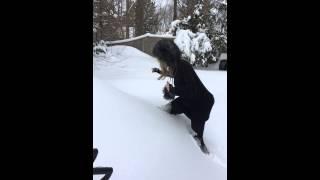 Marcus Storm 10 Feb 2015 Video 2