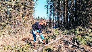 10 Acres in ALASKA! Clearing land & Stocking up Firewood...