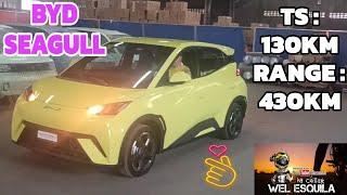 BYD SEAGULL E CAR 2024 | IN DEPTH WALKAROUND | MORETTI PH