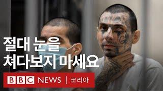 엘살바도르 초대형 교도소 '세코트'의 갱단원 수감자들 - BBC News 코리아