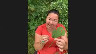 Linda Black Elk: Virtual Plant Walk