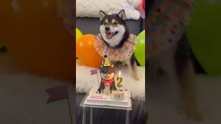Manyu is 2 years old! Happy Birthday!