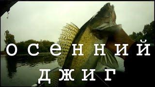 Осенние трофеи. И радость и печаль. #рыбалка #джиг #судак