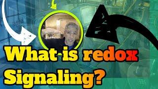 What is redox signaling? Cliff notes version