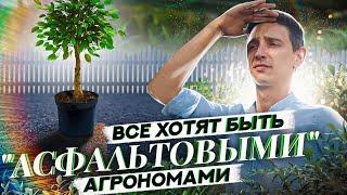 КАК НАНИМАТЬ, КОГДА НАНИМАТЬ НЕКОГО? - рассказал управляющий питомником Венев