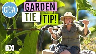 Garden Tie HACK! | Gardening Hacks | Gardening Australia