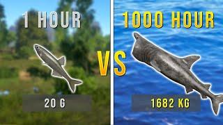 Russian Fishing 4 - 1 Hour VS 2.000 Hour Account #rf4 #russianfishing4