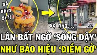 Đầu lân LẮC LƯ liên hồi trước miếu, khiến cả đoàn tái mặt - Là thần linh báo ĐIỀM DỮ|Tin Việt 2 Phút