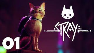 Stray // Chapter 1 // Inside the Wall // 100% // All Collectibles // No Commentary