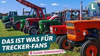 Fest der Ackergiganten: Unterwegs auf dem Oldtimer-Treff | WDR Lokalzeit Land.Schafft.