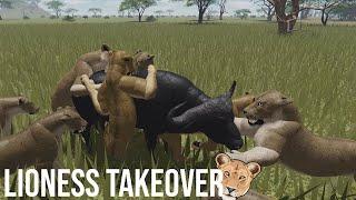 LIONESS TAKEOVER (Wild Savannah)