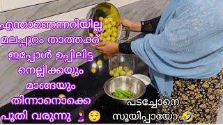 എന്താണെന്നറിയില്ല മലപ്പുറം താത്താക്ക് ഉപ്പിലിട്ട നെല്ലിക്കയും മാങ്ങയും ഒക്കെ തിന്നാൻ പൂതി പടച്ചോനെ