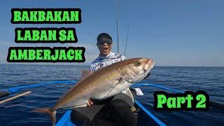 Amberjack part 2