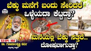ಬೆಕ್ಕು ಮನೆಗೆ ಬಂದು ಸೇರಿದರೆ ಒಳ್ಳೆಯದಾ ಕೆಟ್ಟದ್ದಾ? | Dr Gopalakrishna Sharma | S3 Epi - 100 | Heggadde