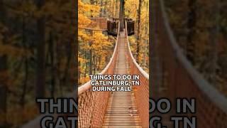 Things To Add To Your Fall Bucket List In Gatlinburg, TN  | #travel #gatlinburg #shorts #viral