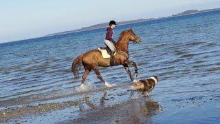 FMA Reiten am Strand Frühling 2016