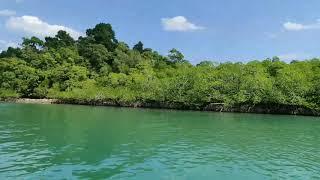 Mangrove Forest| Sunderban Delta| Indian Ocean|