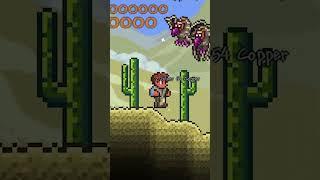 What is wrong with these Terraria Clips?