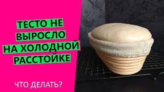 Тесто НЕ выросло в холодильнике. Что делать?