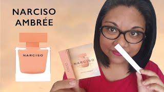 NARCISO AMBREE 2020 | My Quick Thoughts...