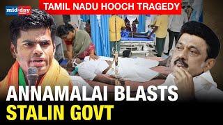 Tamil Nadu Hooch Tragedy: Over 29 Dead After Consuming Illicit Liquor, Annamalai Slams Stalin Govt