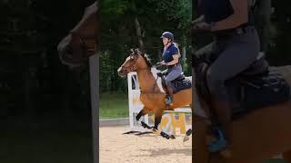 When your horse makes jumping feel effortless 