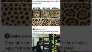 sharing to educate cause #funny #memes #shorts
