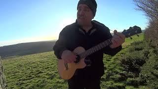 AIN'T NO SUNSHINE by Bill Withers.  Baritone Ukulele Cover. Chords below ⬇️