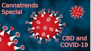 CBD and COVID19 - cannatrends special