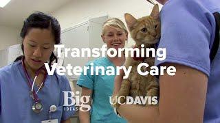 Transforming Veterinary Care: UC Davis Big Ideas