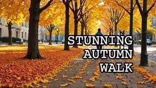 Enchanting Autumn Stroll Through Charlotte's Most Serene Neighborhood!