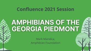 Amphibians of the Georgia Piedmont