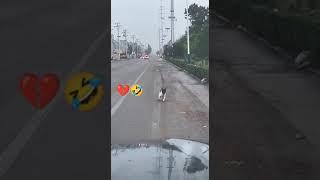 running home after the night club