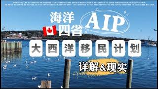 052 加拿大海洋四省_AIP大西洋移民计划，详解&你不知道的现实情况！Atlantic Immigration Program.