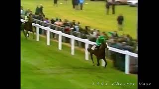 1981 Chester Vase Shergar