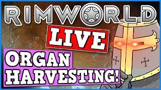 Rimworld IS A PERFECTLY BALANCED GAME WITH NO EXPLOITS - Organ Harvesting Live (BIRTHDAY STREAM)