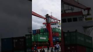 Kapal Kontainer di Pelabuhan Maumere #shorts #kapalkontainer