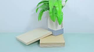 foresmate supplier - birch plywood sheet