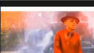 LDM Network Live Stream