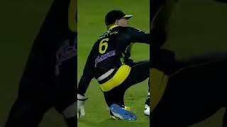 Glenn Phillips takes STUNNING catch! 