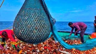 OMG! Record Fishing | CRAB FEAST 5 Tons Of Crabs Caught In One Epic Fishing Catch! Day-6|EP-6