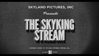 The Skyking Stream: Working On Our Town, Planning 2024, Resolutions