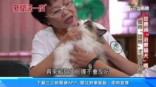 聽過「治療犬」嗎  直擊撫慰人心工作日常｜三立新聞網 SETN.com