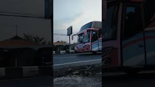 BUS NUSANTARA TELOLET SEASON 02 #truck #subscribe #bus #business #telolet #basuri #teloletbus