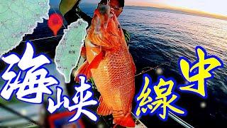 鮮少人去的海峽中線漁場！竟然魚那麼大隻！釣魚釣得荷包滿滿-穩勝166海釣船