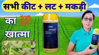 सबसे पावरफुल कीटनाशक इन्ट्रेपिड | BASF Intrepid Insecticide | chlorfenapyr 10 sc | Intrepid