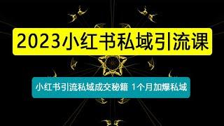 小红书私域引流课，小红书引流私域成交秘籍，1个月加爆私域！