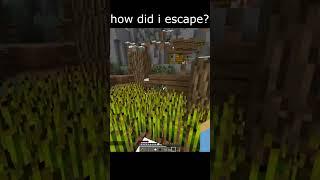 the best hide and seek player