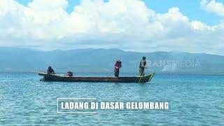 LADANG DI DASAR GELOMBANG | JEJAK PETUALANG (20/11/24) Part 1